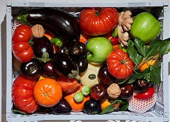 Fresh local ingredients